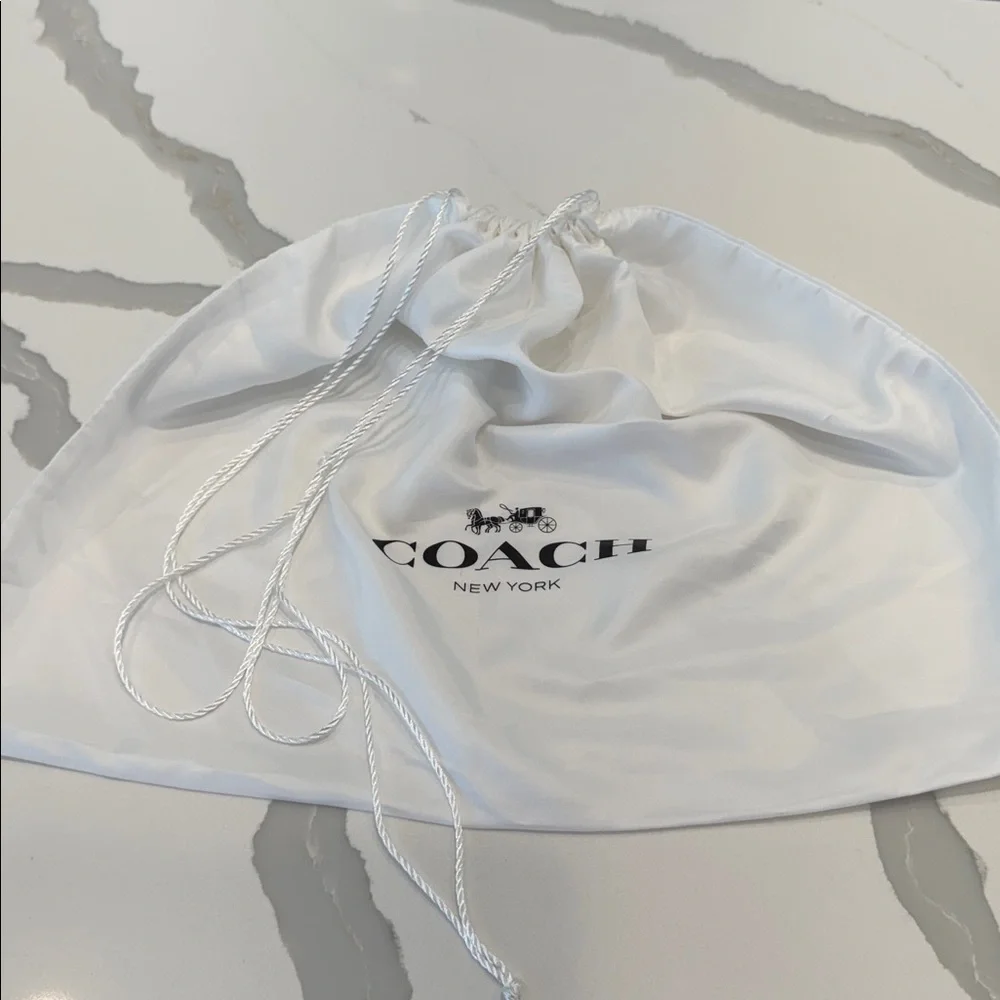 Coach White Storage Bag